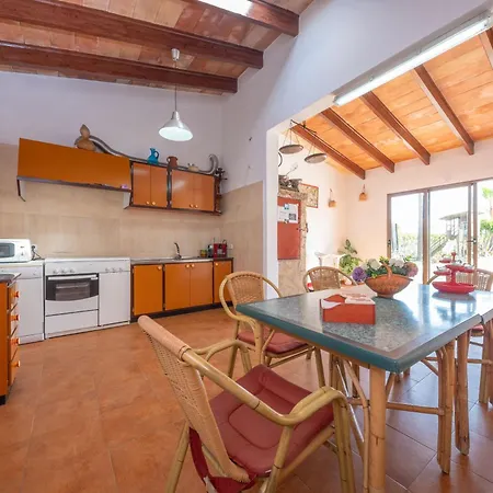 Pintat -llubi- San Lorenzo (Mallorca)