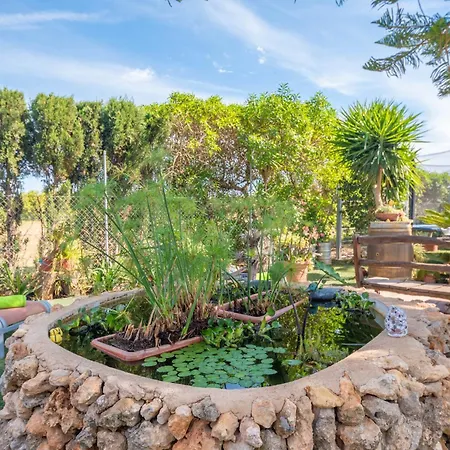 Villa Pintat -llubi- *